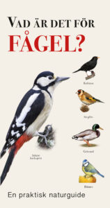 Vad är det för fågel?