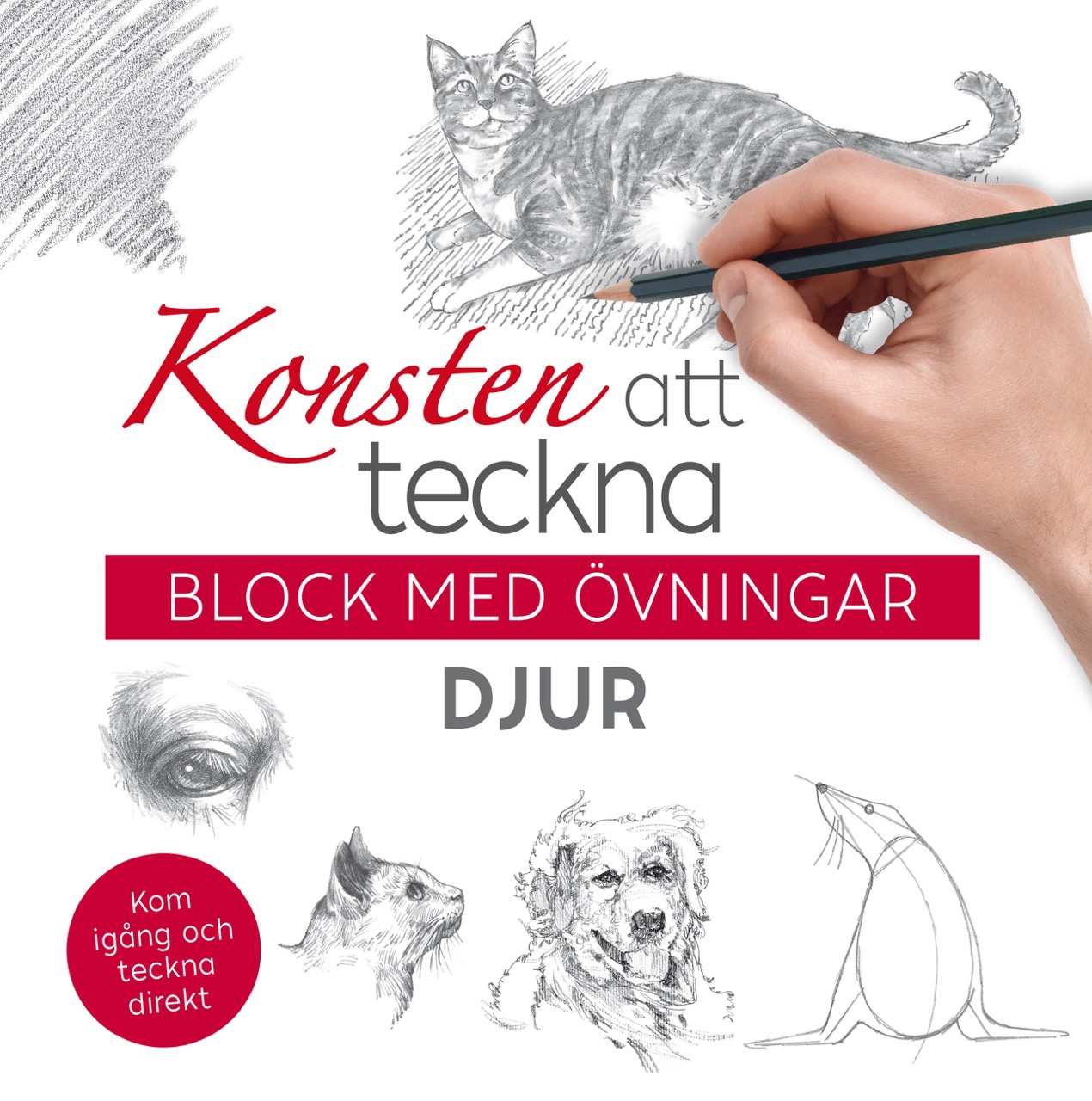 Konsten att teckna : block med övningar – djur