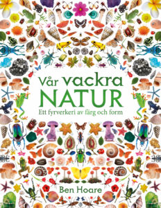 Vår vackra natur : ett fyrverkeri av färg och form